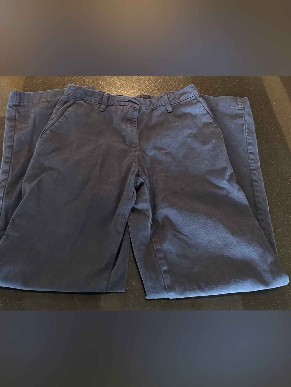 brandy melville navy blue pants